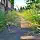 What Does Lime Do for a Lawn and Why Soil pH Matters