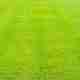 What Does Applying Lime to Your Lawn Do for Soil Health
