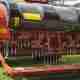 lawn aeration services