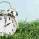 When Is the Right Time to Add Lime to Lawn