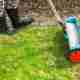 When to Fertilize Your Lawn