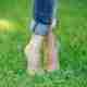 Best Lawn Treatment Plan for a Healthy Summer Lawn