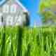 Benefits of Using Lime on Grass for Soil pH Balance
